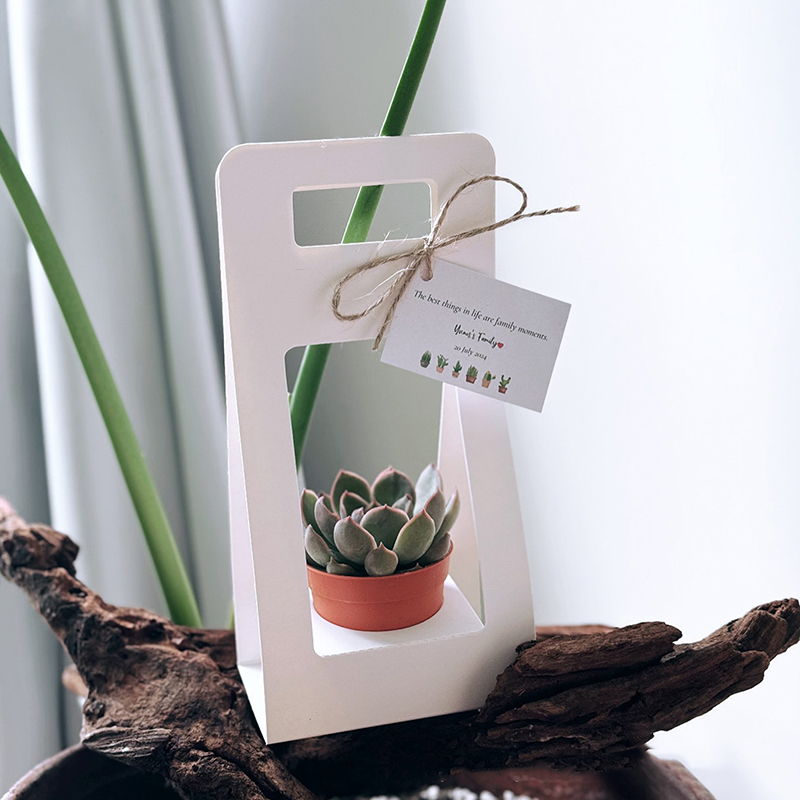 Kraft Paper Box - Kotak Kado Kertas Kraft Tahan Air